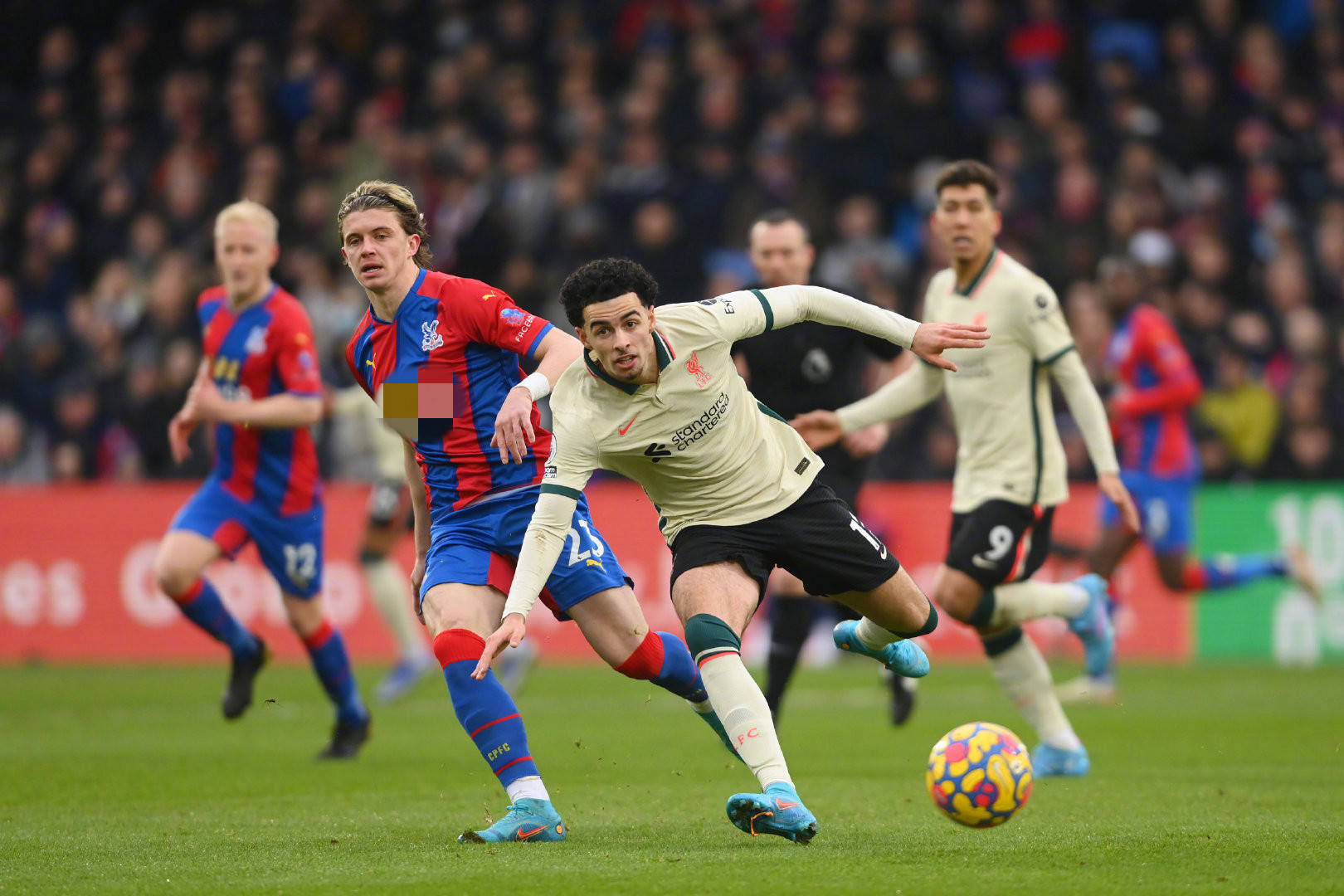 迷的目光 迷的目光